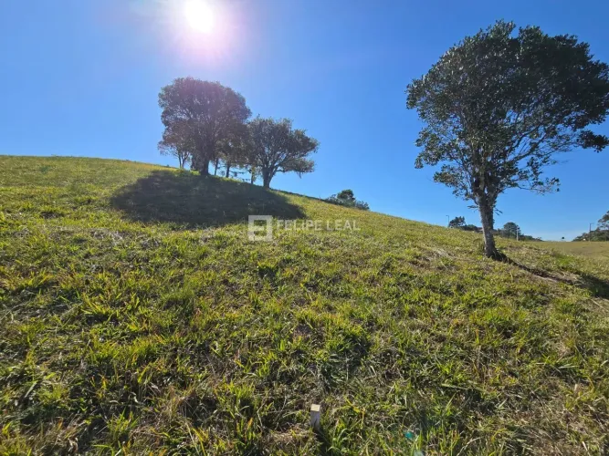 Terreno / Lote / Condomínio em Centro - Rancho Queimado
