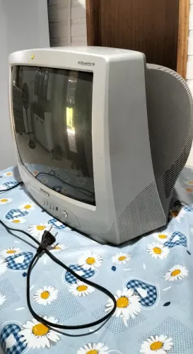 Televisão 