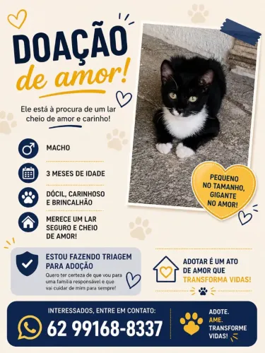 Doação animais 