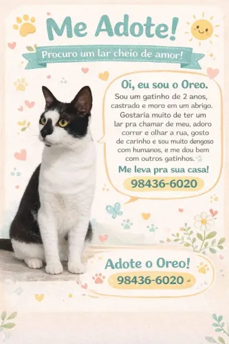 Adoção Pet