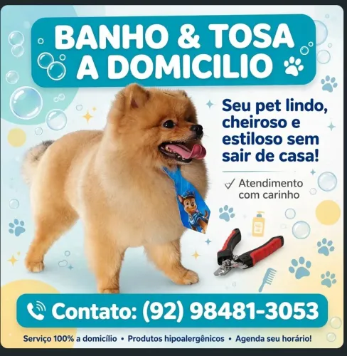 Groomer_niel/ profissional altamente qualificado em tosa de todas as raças!