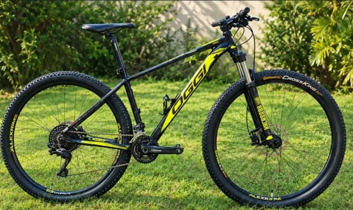 Vendo Bicicleta Oggi