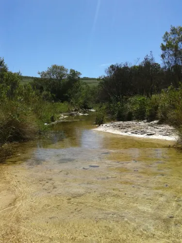 FAZENDA A VENDA REGIAO DE DIAMANTINA ( 4118 )