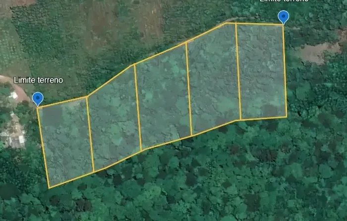 Vendo lotes medindo 4.000 m² para chácaras com igarapé aos fundos dos lotes.