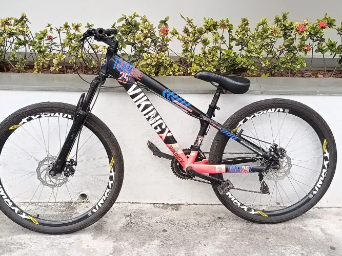 Bicicleta Viking X - aro 26