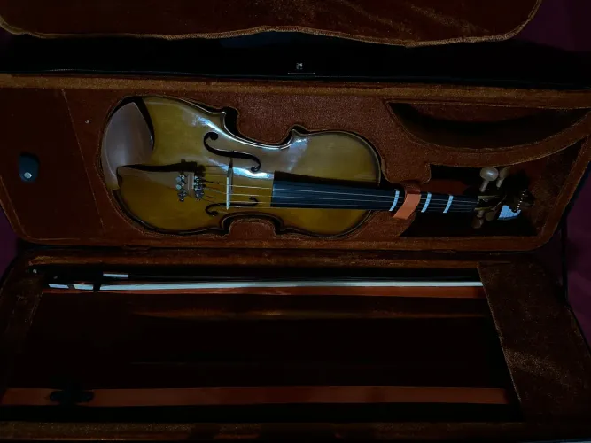 violino eagle ve 441 marrom 