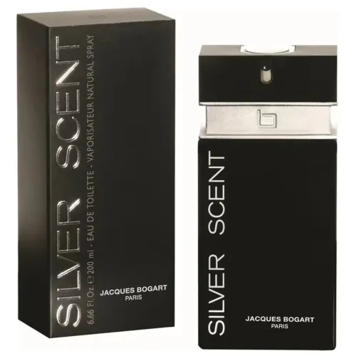 Perfume masculino silver scent tradicional