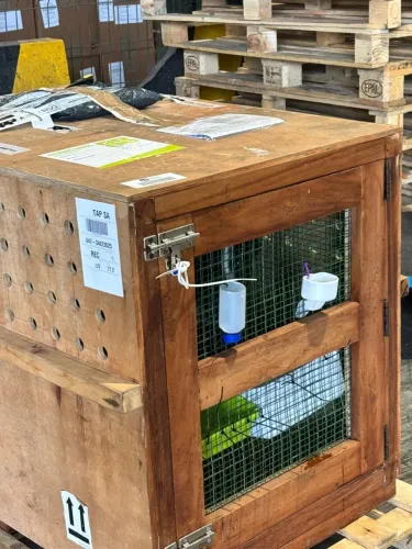 Caixa para transportar cães .