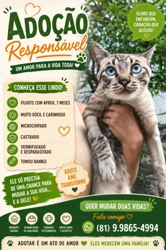 Adoção Responsável
