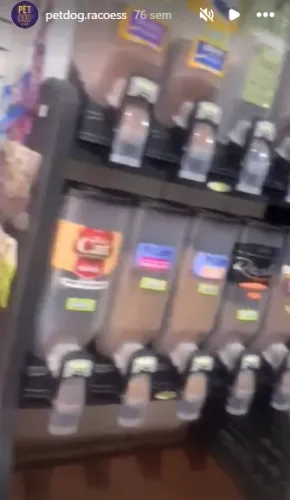 Dispenser Pró PlastPet para ração etc
