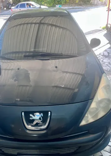Peugeot 207 Sedan Passion XR 1.4 Flex 8V 4P 2011