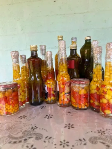 Molho de pimenta ardido