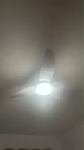 Ventilador de teto