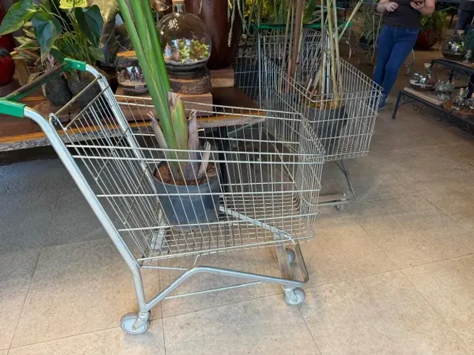 Carrinho de Supermercado 160L