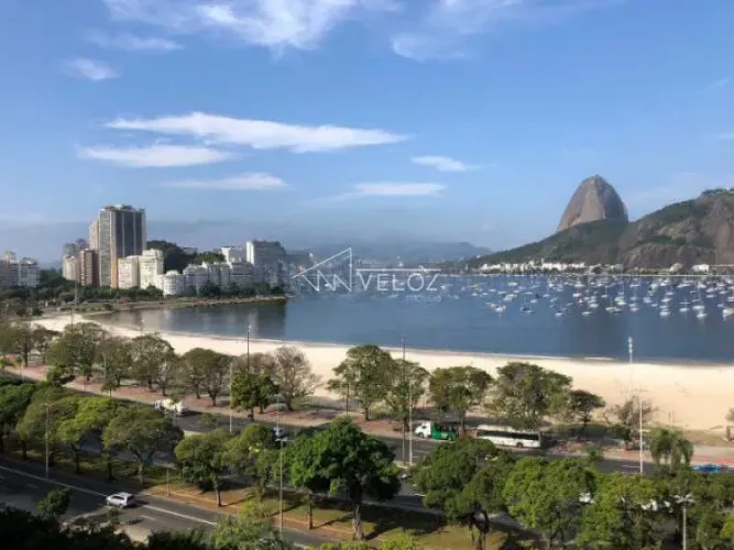 Apartamento : / Residencial / Botafogo