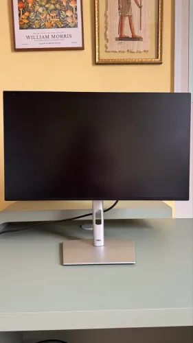 Monitor Dell Pro Plus 24