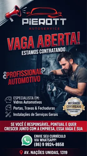 CONTRATA-SE PROFISSIONAL AUTOMOTIVO 