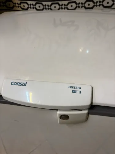 Freezer horizontal