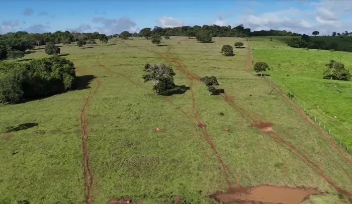 Terra/fazenda para venda 