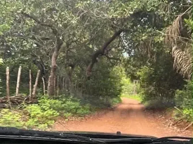 TERRENO DISPONÍVEL NO IBUGUAÇU | GRANJA  CE | SÃO 16.691,97 HECTARES DE TERRA