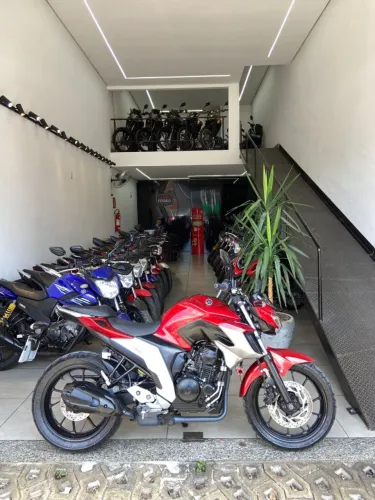 Yamaha Fazer FZ25 250 FLEX