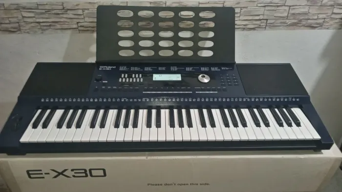 Roland EX30