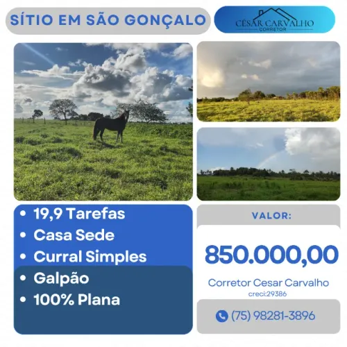 SÍTIO EM SÃO GONÇALO - 19,9