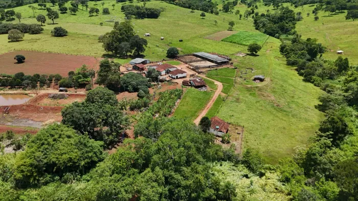 Fazenda 43.8 alqueires 2 km de Anápolis  sem estrada de chão 