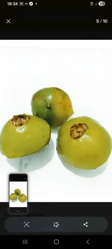 Cambuci 500grs congelado 