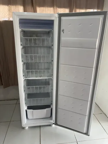 Freezer Vertical Consul 