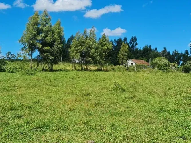 FAZENDA 52 ALQUEIRES ESTRADA ARARUAMA SÃO VICENTE ARARUAMA/RJ