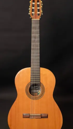 Violão Rozini Rx210 Studio Acústico (Tampo Maciço)