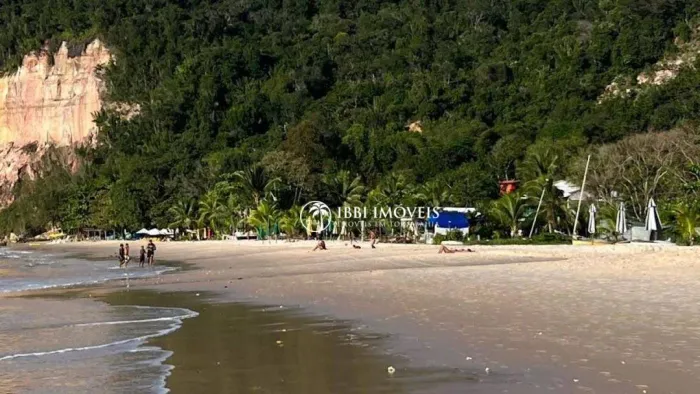 Terreno à venda, 5000 m² por R$ 1.350.000,00 - Gamboa - Cairu/BA