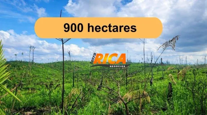 Excelente Fazenda à Venda em Apuí/AM  900 Hectares