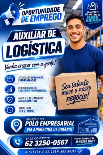 Auxiliar de estoque