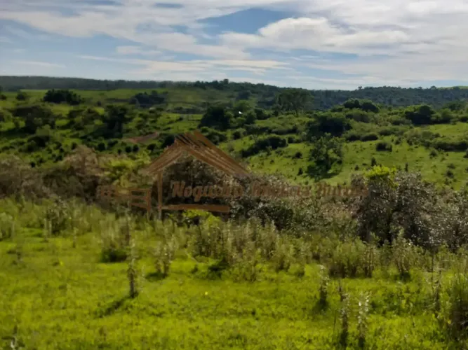 Fazenda com 74 alqueires na região de Garça SP