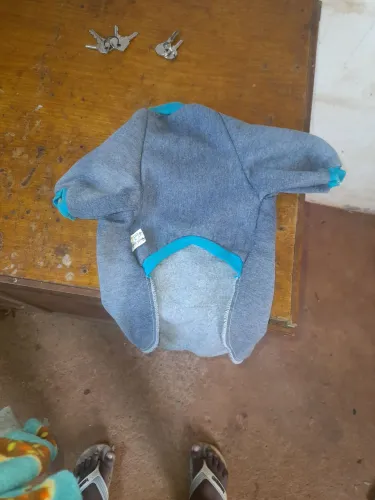 Roupinha para cachorro