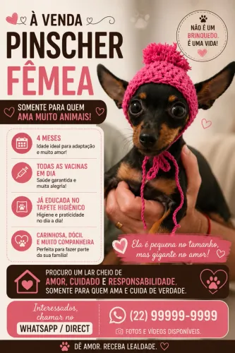 Vendo Pinscher ZERO fêmea 4 meses. Linda!!