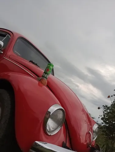 Volkswagen Fusca (álcool) 2022