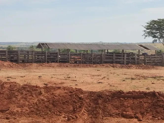Fazenda/Sítio/Chácara para venda 49 alqueire em marabá paulista a propriedade
