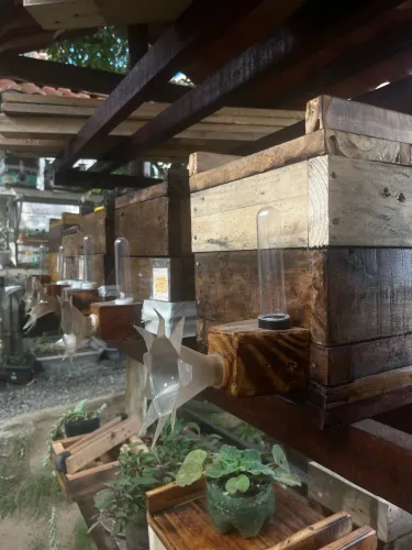 Caixas para Abelhas Sem Ferrão - Produção Artesanal