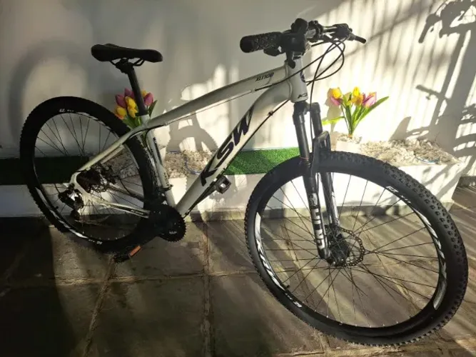 BIKE 29"