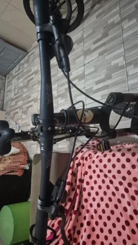 Bicicleta aro 29