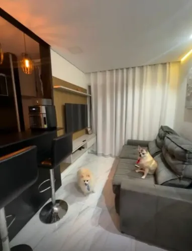 Apartamento com 2 dormitórios à venda, 56 m² por R$ 375.000,00 - Vila Nova Cachoeirinha - 