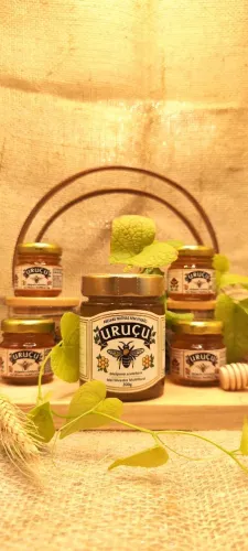 Mel de Abelha Uruçu 100% Orgânico - Oxemel (200g) | Puro e Medicinal