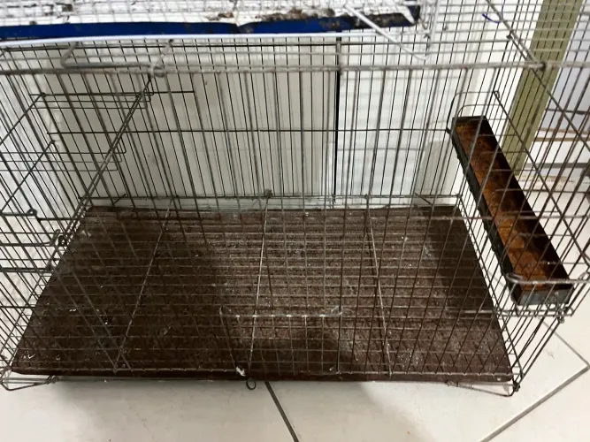 2 viveiro para aves