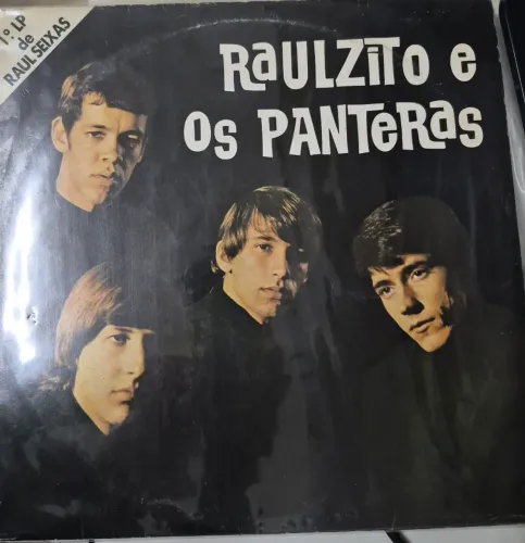 LP Vinil Raul Seixas - Raulzito e os panteras,, primeiro LP do Raul