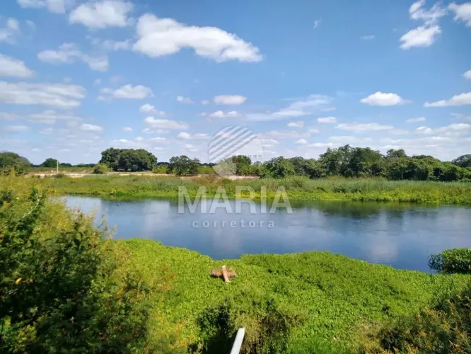 Roça Beira de Rio com 7.6 Hectares à venda em Petrolina/PE!