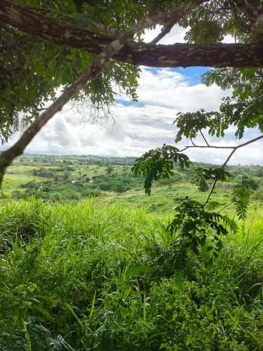 Vendo sítio de 03 hectares em São Sebastião de Lagoa de Roça