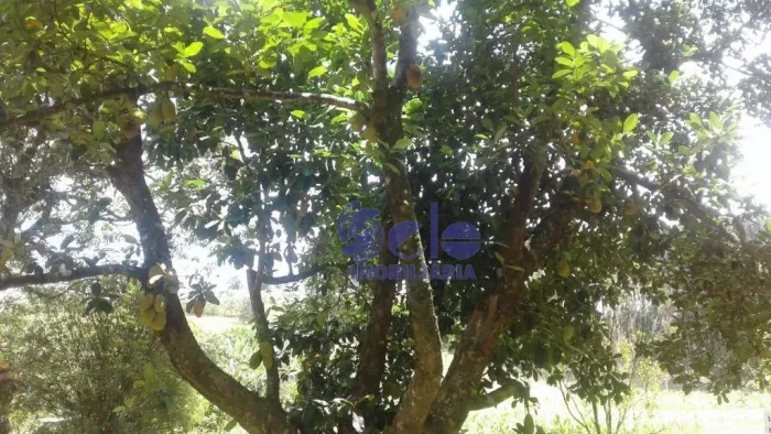 Área à venda, 25000 m² por R$ 650.000 - Zona Rural - Bofete/SP